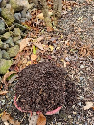 김용대님의 자유주제 · 자유게시판 작성글 사진