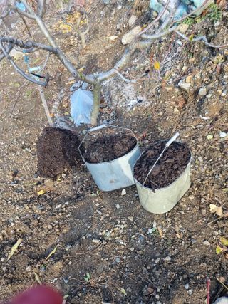 김용대님의 자유주제 · 자유게시판 작성글 사진