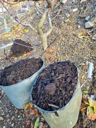 김용대님의 자유주제 · 자유게시판 작성글 사진