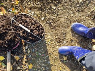 김용대님의 자유주제 · 자유게시판 작성글 사진