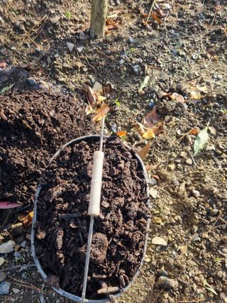 김용대님의 자유주제 · 자유게시판 작성글 사진