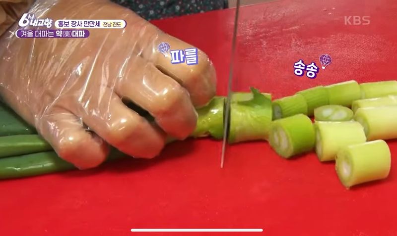 알 수 없음님의 장터 판매 상품 [연하고 맛있는 진도 대파 10kg] 첨부 사진