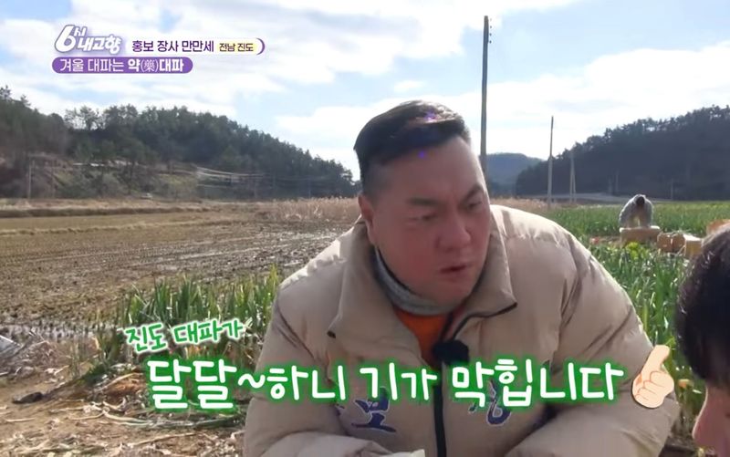 알 수 없음님의 장터 판매 상품 [연하고 맛있는 진도 대파 10kg] 첨부 사진