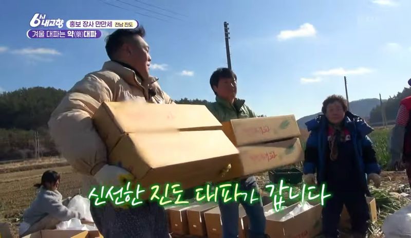 알 수 없음님의 장터 판매 상품 [연하고 맛있는 진도 대파 10kg] 첨부 사진