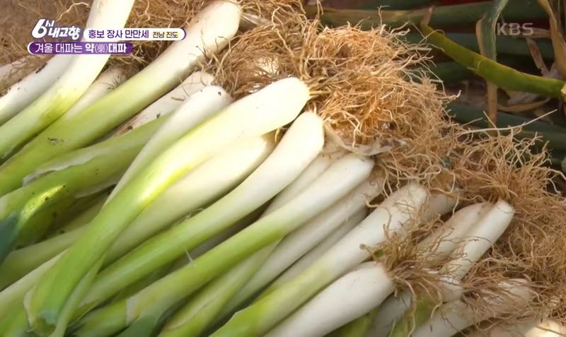 알 수 없음님의 장터 판매 상품 [연하고 맛있는 진도 대파 10kg] 첨부 사진