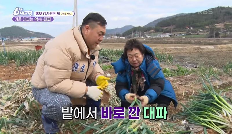 알 수 없음님의 장터 판매 상품 [연하고 맛있는 진도 대파 10kg] 첨부 사진