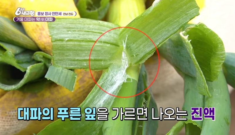 알 수 없음님의 장터 판매 상품 [연하고 맛있는 진도 대파 10kg] 첨부 사진