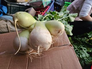 강희상님의 자유주제 · 자유게시판 작성글 사진