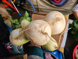 강희상님의 자유주제 · 자유게시판 작성글 사진