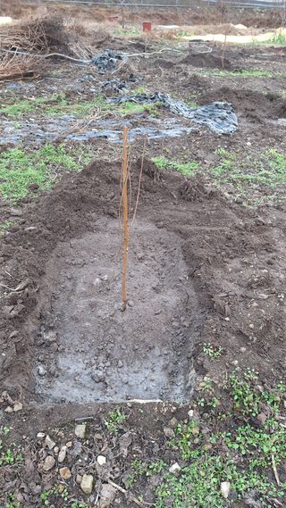 오남현님의 감 · 영농일지 작성글 사진