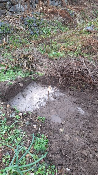 오남현님의 감 · 영농일지 작성글 사진