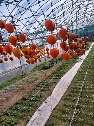 정용준님의 농한기 휴식 계획 공유하기 · 참여글 작성글 사진