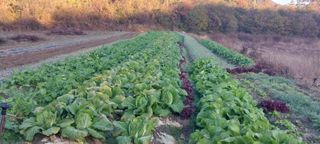 남기하님의 자유주제 · 자유게시판 작성글 사진