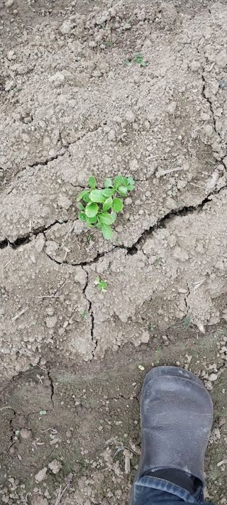 남기하님의 자유주제 · 자유게시판 작성글 사진
