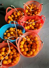 팜모닝 귤·영농일지 게시글 이미지