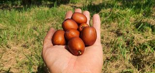 김병표님의 작성글 사진