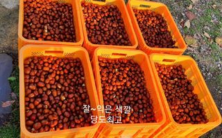 김병표님의 작성글 사진