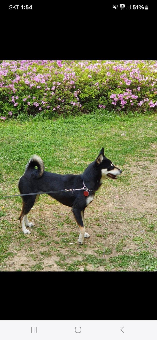 김병표님의 장터 판매 상품 [건대추 1kg] 첨부 사진