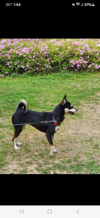 김병표님의 작성글 사진