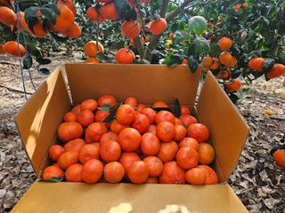 양애숙님의 자유주제 · 자유게시판 작성글 사진