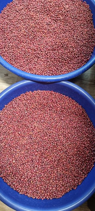 박순덕님의 자유주제 · 자유게시판 작성글 사진