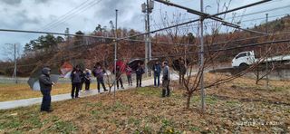 달맛햇복숭아농원님의 자유주제 · 자유게시판 작성글 사진