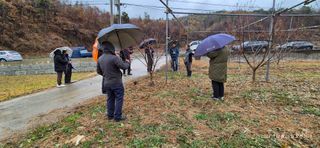 달맛햇복숭아농원님의 자유주제 · 자유게시판 작성글 사진