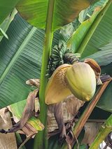 팜모닝 자유주제·자유게시판 게시글 이미지