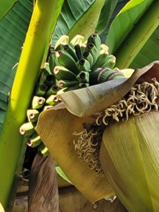 나는 나님의 자유주제 · 자유게시판 작성글 사진