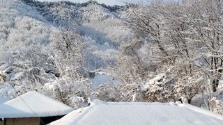 여우내 이순홍님의 자유주제 · 자유게시판 작성글 사진