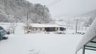 고춘석(고랑과이랑)님의 자유주제 · 자유게시판 작성글 사진