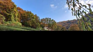 선곡다원님의 기타작물 · 영농일지 작성글 사진