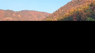 선곡다원님의 기타작물 · 영농일지 작성글 사진