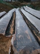 팜모닝 자유주제·자유게시판 게시글 이미지