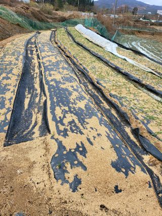 정금천님의 자유주제 · 자유게시판 작성글 사진