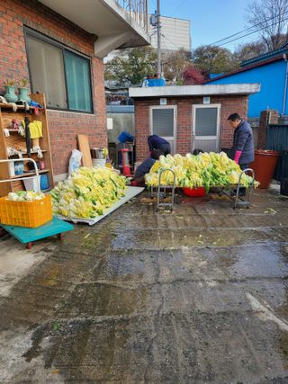 정금천님의 자유주제 · 자유게시판 작성글 사진
