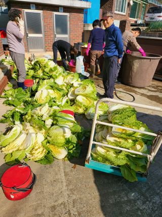 정금천님의 자유주제 · 자유게시판 작성글 사진