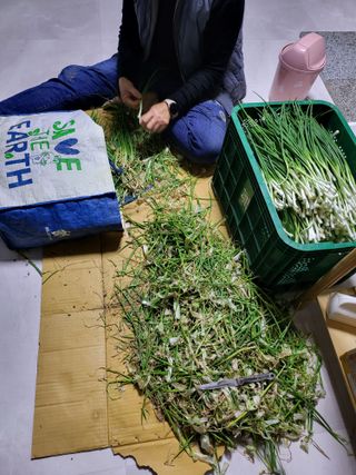 정금천님의 자유주제 · 자유게시판 작성글 사진