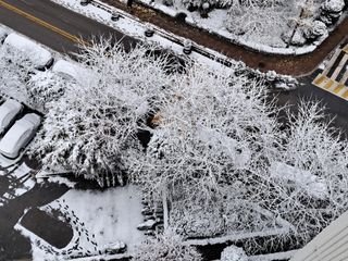 장은주님의 자유주제 · 자유게시판 작성글 사진