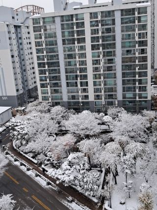 장은주님의 자유주제 · 자유게시판 작성글 사진