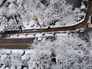 장은주님의 자유주제 · 자유게시판 작성글 사진