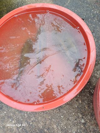 홍순오님의 자유주제 · 자유게시판 작성글 사진