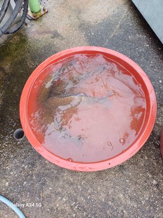 홍순오님의 자유주제 · 자유게시판 작성글 사진