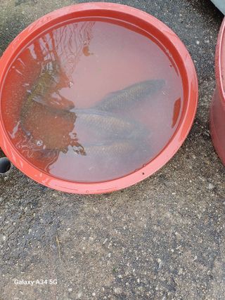 홍순오님의 자유주제 · 자유게시판 작성글 사진