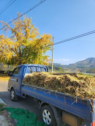 용포물레방아님의 자유주제 · 자유게시판 작성글 사진