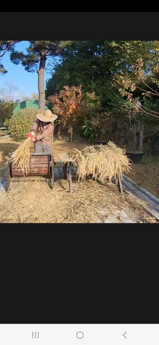 용포물레방아님의 자유주제 · 자유게시판 작성글 사진