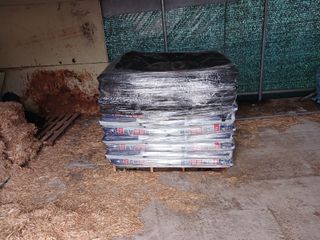 알 수 없음님의 자유주제 · 자유게시판 작성글 사진