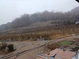 오영도님의 자유주제 · 자유게시판 작성글 사진