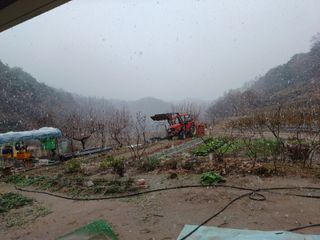 오영도님의 자유주제 · 자유게시판 작성글 사진