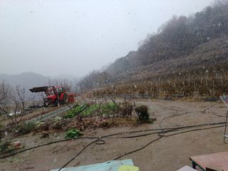 오영도님의 자유주제 · 자유게시판 작성글 사진